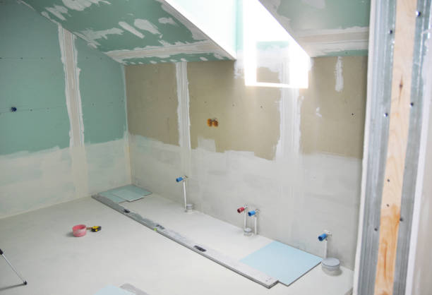 Best Dehumidification Services  in Northfield, MN