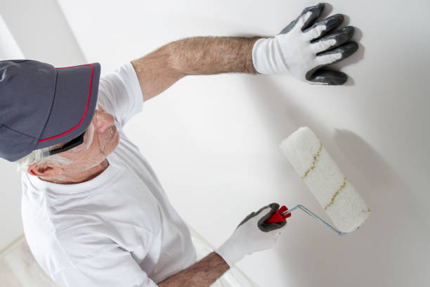 Best Mold Removal for HVAC Installations  in Northfield, MN