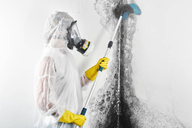 Best Indoor Air Quality Assessment  in Northfield, MN