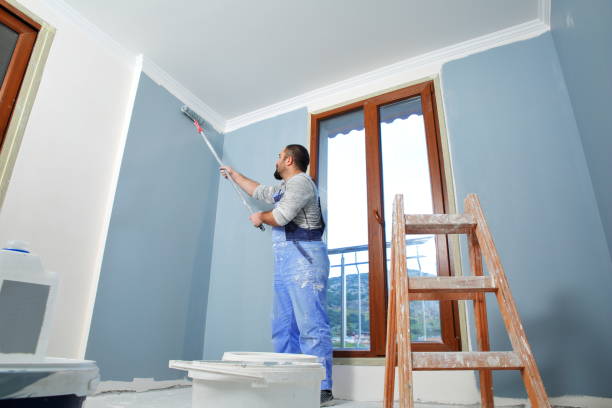 Best HVAC Mold Inspection and Cleaning  in Northfield, MN