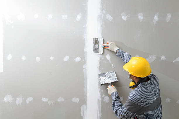 Best Air Quality Testing for Mold Spores  in Northfield, MN