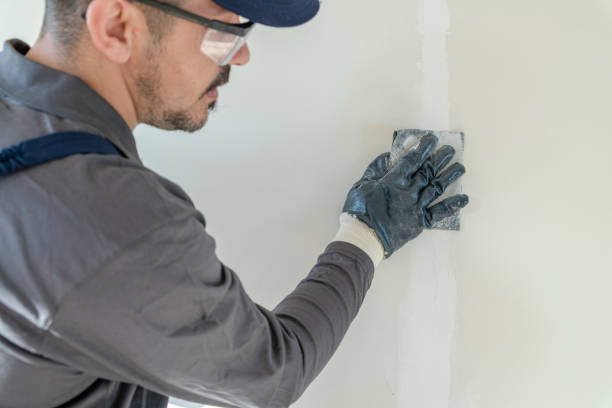 Best Air Quality Testing for Mold Spores  in Northfield, MN