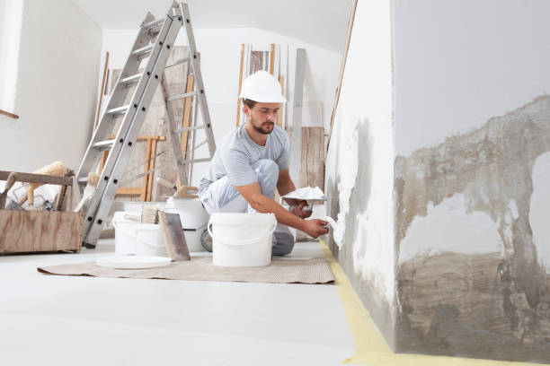 Best Residential Mold Inspection & Testing  in Northfield, MN
