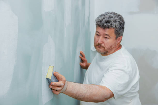 Best Mold Documentation for Insurance Claims  in Northfield, MN