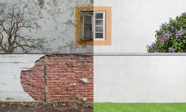 Best Mold Prevention Services  in Northfield, MN