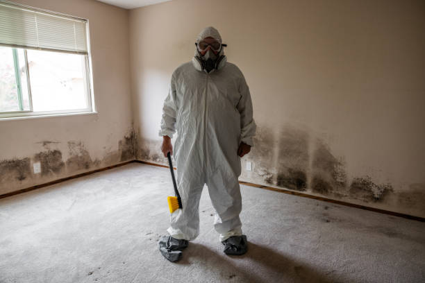 Asbestos and Lead Testing During Mold Inspection in Northfield, MN