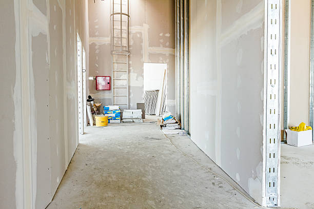  Northfield, MN Mold Removal Pros