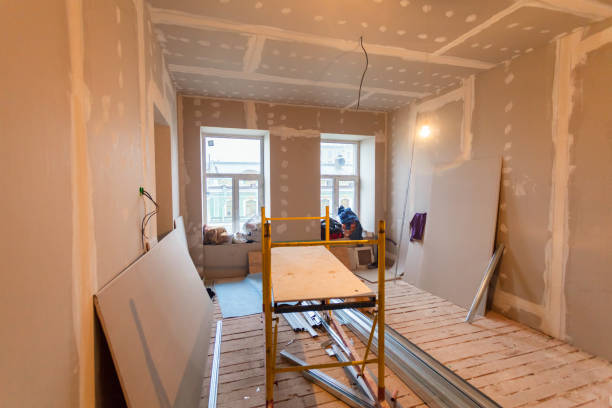 Best Industrial Mold Remediation  in Northfield, MN